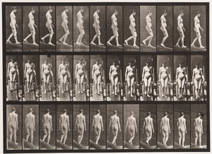 Placa 117. Bajando una pendiente de Eadweard Muybridge