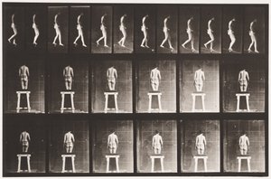 Placa 118. Bajando una Pendiente de Eadweard Muybridge