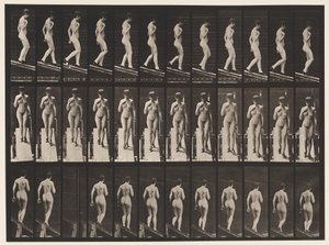 Placa 119. Bajando una Pendiente, Mano Derecha en el Pecho (Zapatos) de Eadweard Muybridge