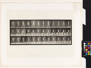 Placa 11. Caminando de Eadweard Muybridge