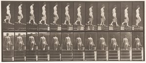 Placa 120. Descendiendo una pendiente, cubo de agua en la mano derecha de Eadweard Muybridge