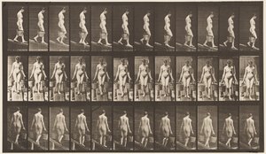 Placa 121. Bajando una pendiente, cubo de agua en cada mano de Eadweard Muybridge