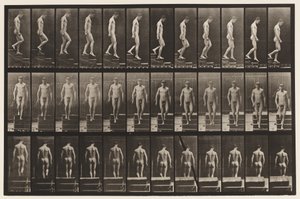 Placa 125. Bajando escaleras de Eadweard Muybridge