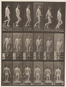 Placa 127. Bajando escaleras de Eadweard Muybridge