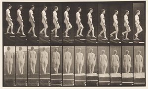 Placa 129. Bajando Escaleras, Manos Juntas de Eadweard Muybridge