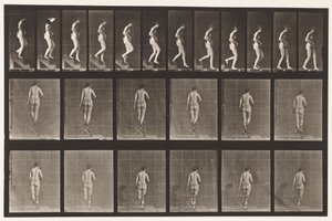 Placa 130. Bajando escaleras, manos entrelazadas de Eadweard Muybridge
