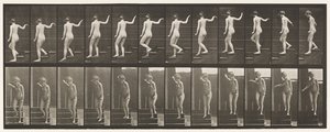 Placa 132. Bajando Escaleras, Girando para Mirar Alrededor y Saludando con la Mano de Eadweard Muybridge