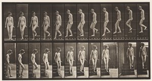 Placa 137. Bajando escaleras, girando de Eadweard Muybridge