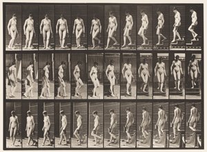 Placa 138. Bajando escaleras, girando; Jarra en la mano izquierda de Eadweard Muybridge