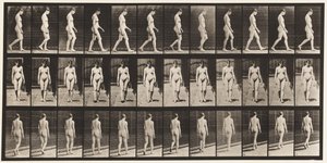 Placa 13. Caminando, 1872-1885 de Eadweard Muybridge