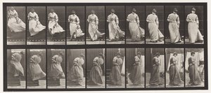 Placa 142. Bajando escaleras, girando vestido atrapado, 1885