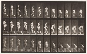 Placa 149. Bajando escaleras; agachándose para levantar una jarra de Eadweard Muybridge