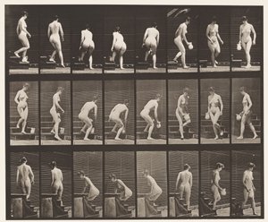Placa 150. Bajando escaleras; agachándose, levantando una jarra, girando de Eadweard Muybridge