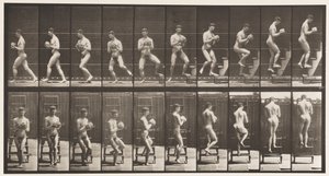 Placa 151. Descendiendo escalera, girando, roca en manos, 1872-1885 de Eadweard Muybridge