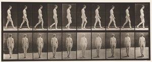 Placa 15. Caminando de Eadweard Muybridge
