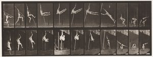 Placa 164. Saltando; salto con pértiga, 1872-1885 de Eadweard Muybridge