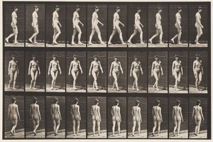 Placa 16. Caminando, 1872-1885 de Eadweard Muybridge