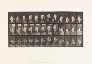 Placa 172. Pisando un caballete; saltando, girando, 1885 de Eadweard Muybridge