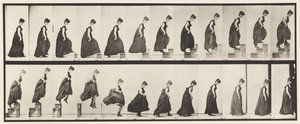Placa 173. Subiendo escalones y saltando, 1885 de Eadweard Muybridge