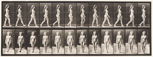 Placa 17. Caminando de Eadweard Muybridge