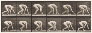 Placa 183. Caminando sobre manos y pies de Eadweard Muybridge