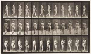 Placa 18. Caminando, mano izquierda sobre el abdomen de Eadweard Muybridge