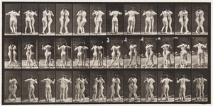 Placa 196. Bailando Vals, Dos Modelos de Eadweard Muybridge