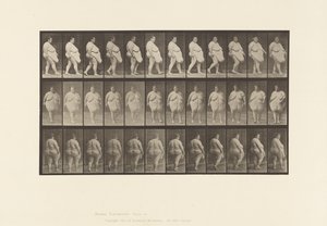 Placa 19. Caminando, Comenzando a Girar de Eadweard Muybridge