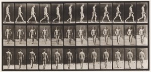 Placa 1. Caminando de Eadweard Muybridge