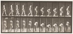 Placa 202. Dejando Caer y Levantando un Pañuelo de Eadweard Muybridge