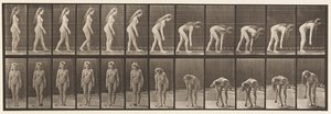 Placa 204. Deteniéndose para recoger la pelota de Eadweard Muybridge