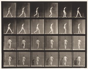 Placa 20. Caminando, codo derecho doblado de Eadweard Muybridge