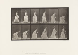 Placa 211. Agachándose y Levantando un Pañuelo; Parasol en la Mano Izquierda, 1885 de Eadweard Muybridge