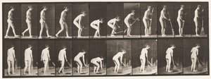 Placa 219. Agachándose y levantando escoba y barriendo de Eadweard Muybridge