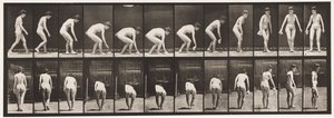 Placa 220. Agachándose y levantando un pañuelo y girando de Eadweard Muybridge