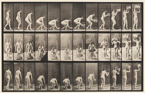 Placa 221. Agachándose y Levantando una Cesta de 12 lb a la Cabeza de Eadweard Muybridge