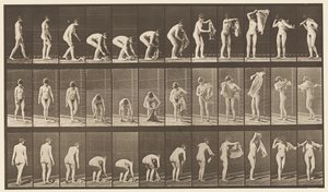 Placa 227. Levantando tela del suelo, 1872-1885 de Eadweard Muybridge