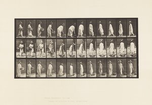 Placa 229. Colocando la Cesta en el Suelo y Girando de Eadweard Muybridge