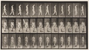 Placa 22. Caminando, con botas de tacón alto de Eadweard Muybridge
