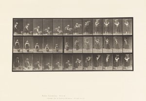 Placa 230. Levantando una cesta de 30 lb del suelo a la cabeza, girando, 1885 de Eadweard Muybridge