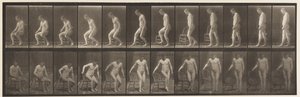 Placa 236. Colocando silla y sentándose, 1885 de Eadweard Muybridge