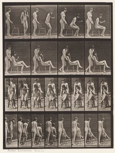 Placa 239. Dos modelos; uno de pie, el otro sentado, cruzando las piernas de Eadweard Muybridge