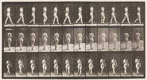 Placa 23. Caminando, mano derecha en la barbilla, zapatos de tacón alto de Eadweard Muybridge