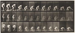 Placa 252. Arrodillándose sobre la rodilla derecha y fregando el suelo, 1872-1885 de Eadweard Muybridge