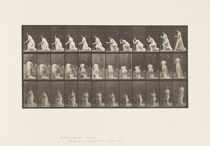 Placa 253. Arrodillado con los Codos en la Silla, Manos Juntas, 1885