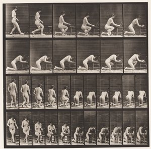 Placa 254. Arrodillándose, codos en la silla, manos entrelazadas de Eadweard Muybridge