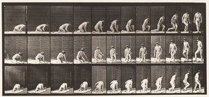 Placa 255. Levantándose de rodillas y girando de Eadweard Muybridge