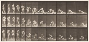 Placa 256. Acostado en el suelo y leyendo, 1872-1885 de Eadweard Muybridge