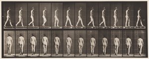 Placa 25. Caminando, con zapatos de tacón alto de Eadweard Muybridge