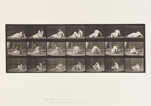 Placa 267. Girando y cambiando de posición en el suelo, 1885 de Eadweard Muybridge